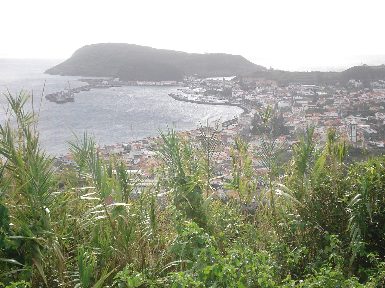Horta harbour in the Azores, Portugal — reference photo