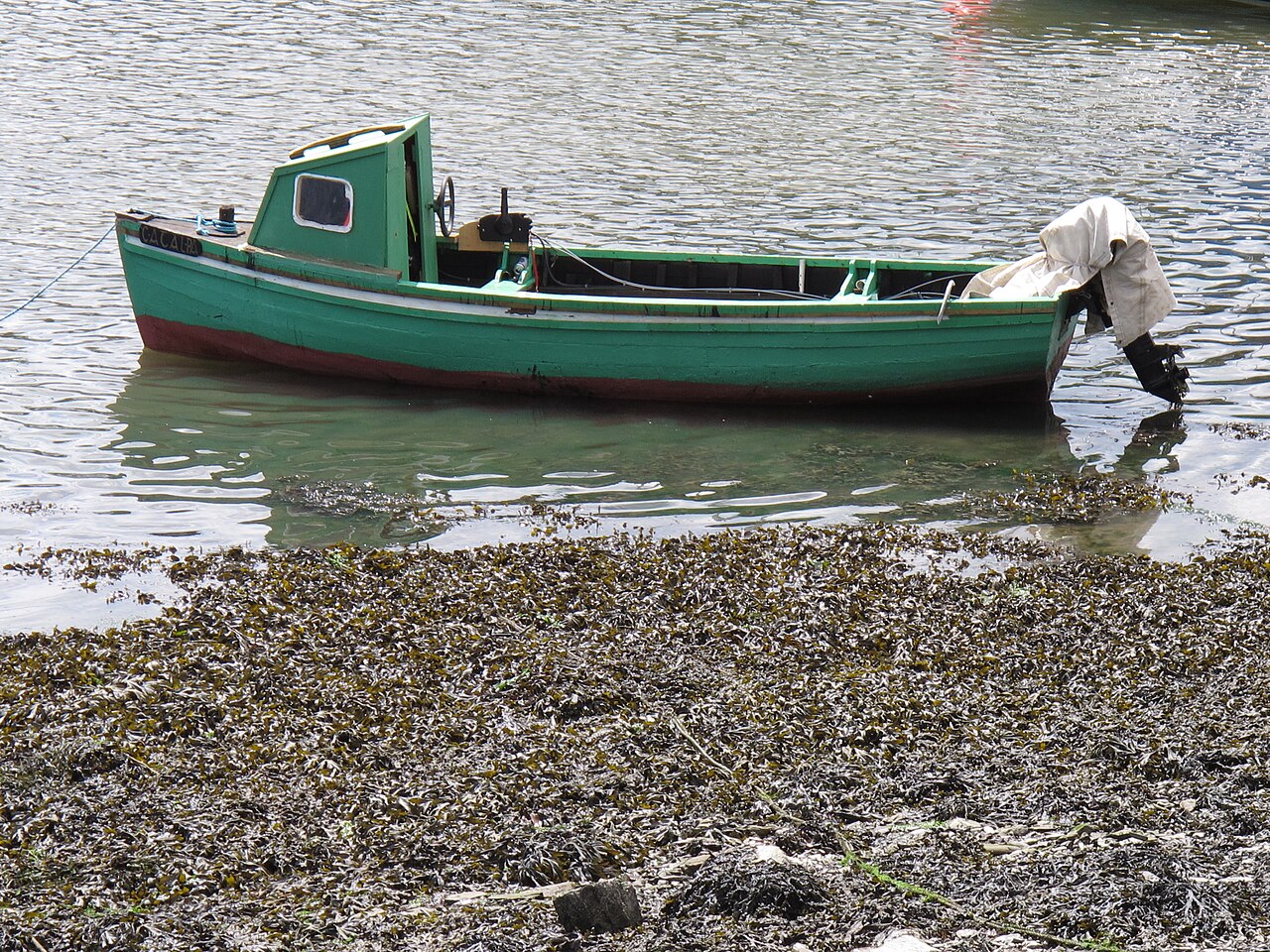 Fishing boat in Kinsale harbour, Cork, Ireland — reference photo