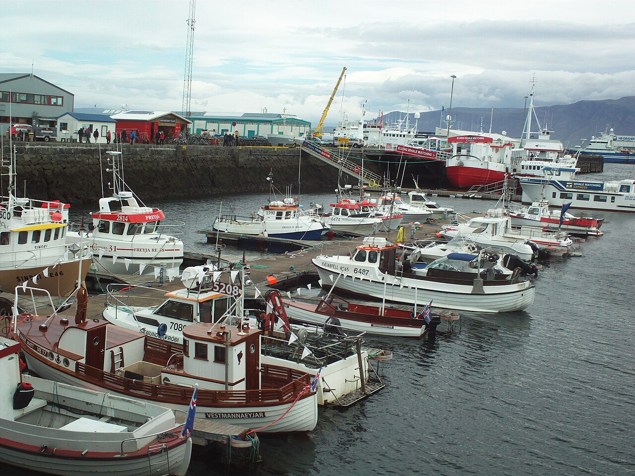 Boats in Reykjavík’s Old Harbour, Iceland — reference photo