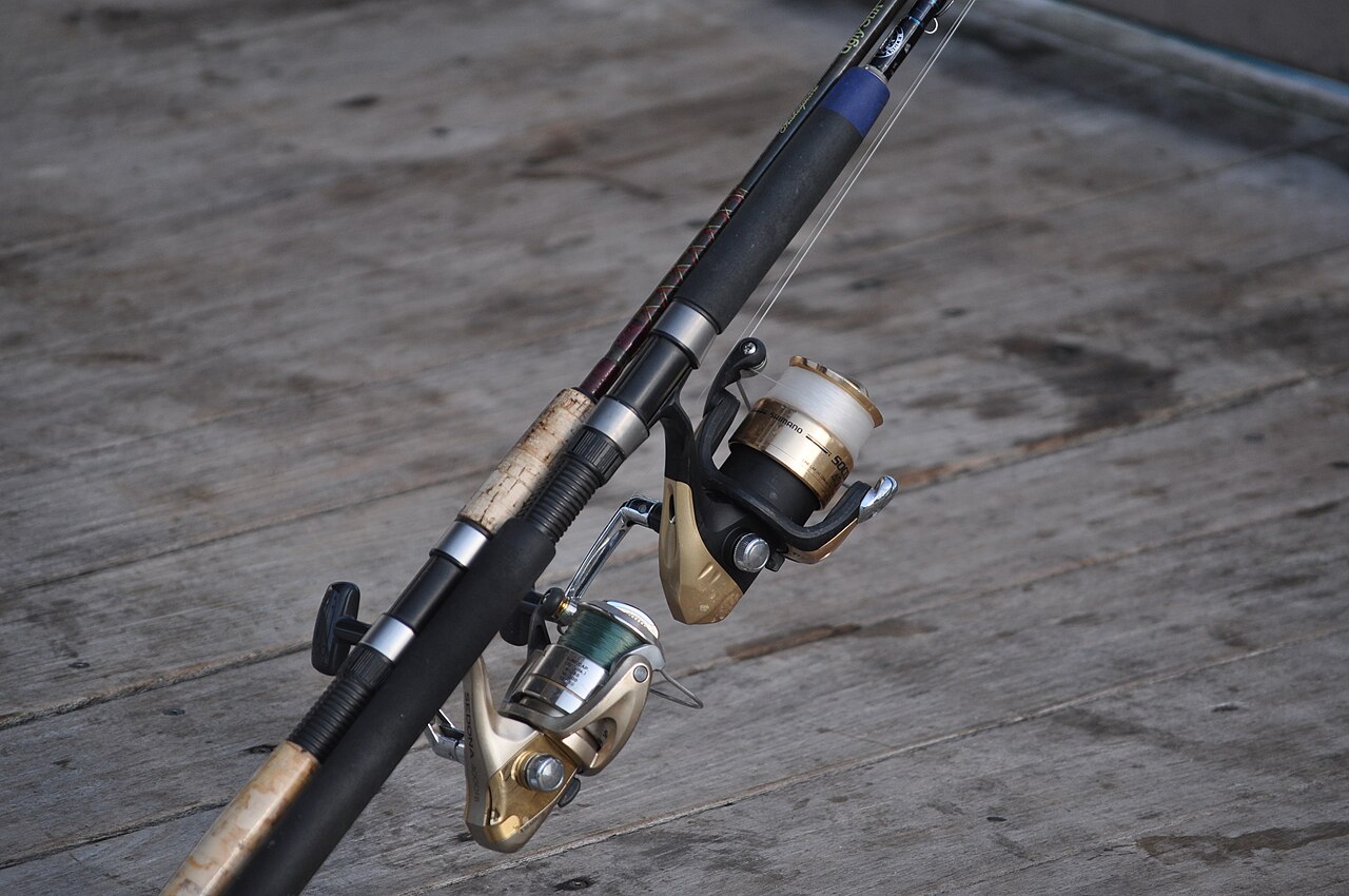 Reference image of reels and rigs