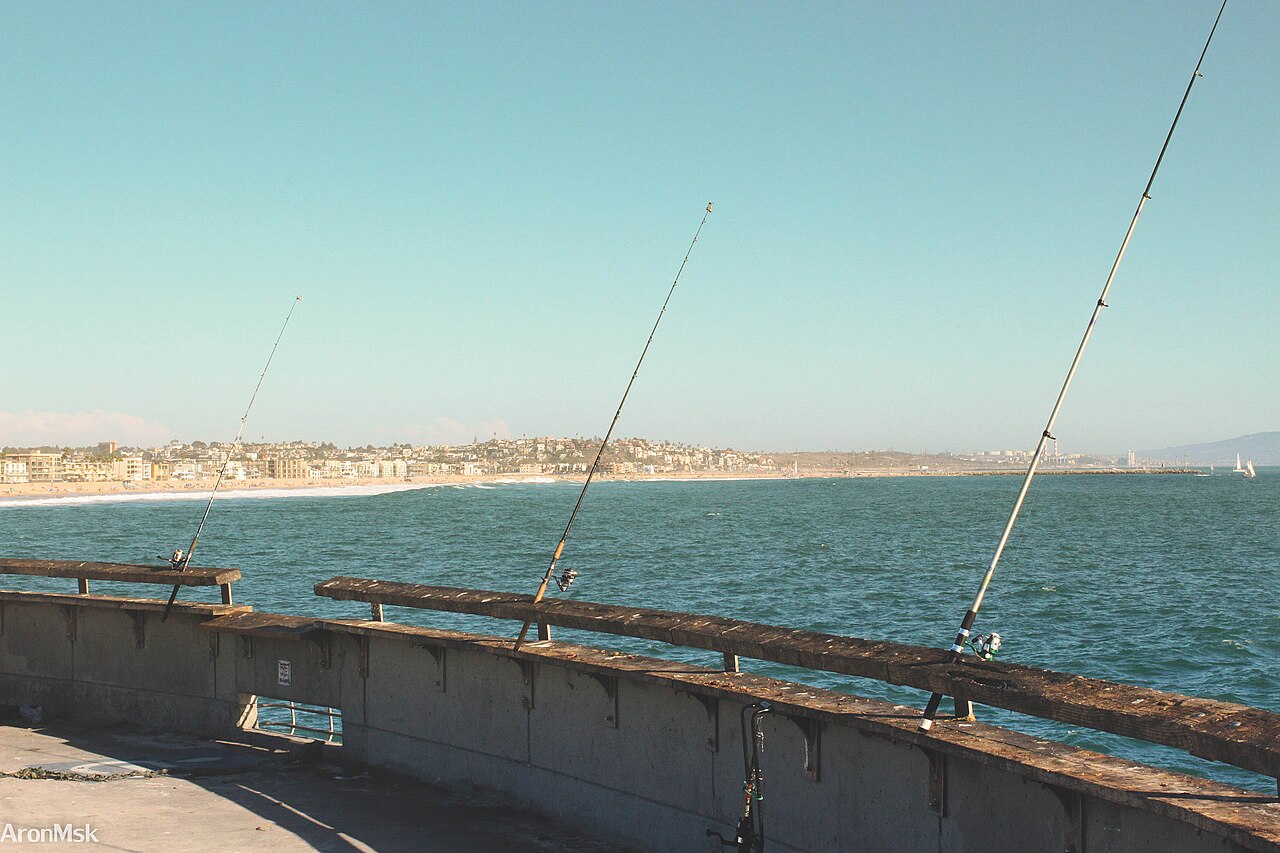Reference image of fishing rods